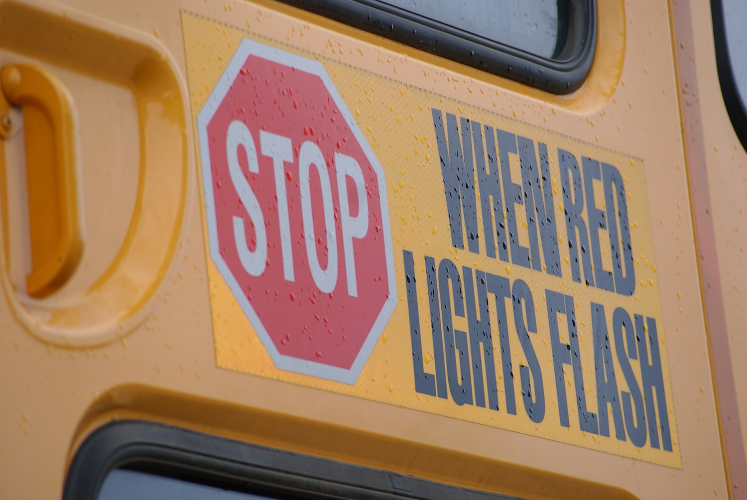 Close-up photo of a public school bus.