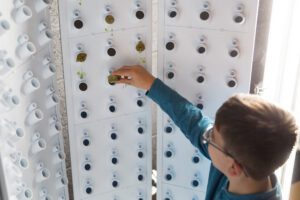 student places seedling in hydroponic farm